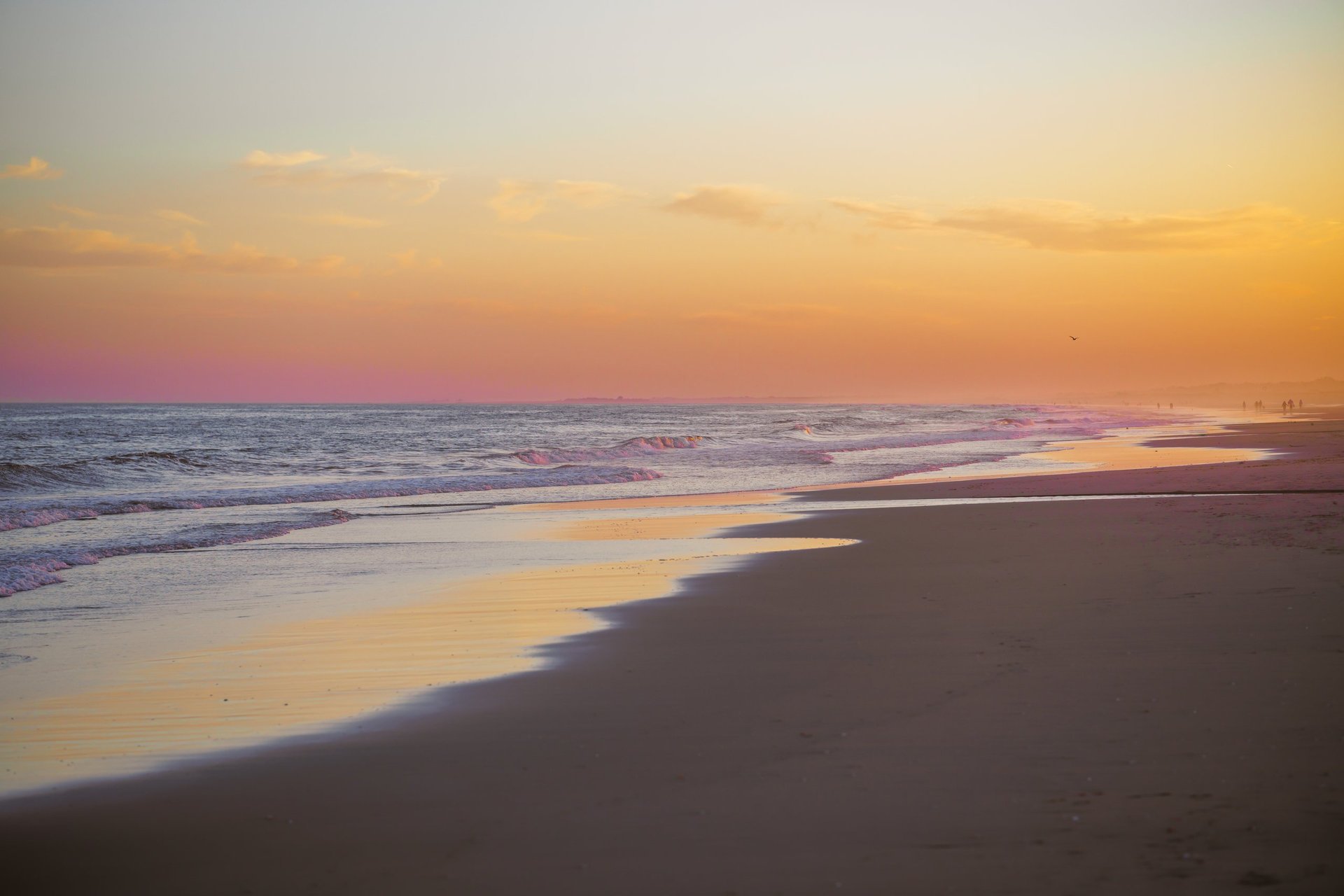 Golden hour beach sunset