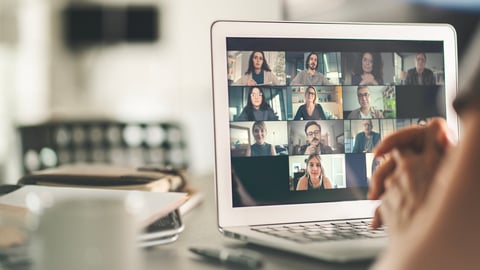 Business consultation meeting